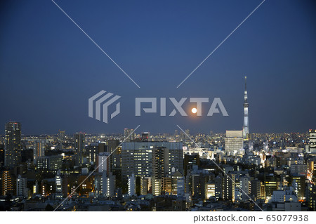 東京夜景 東京夜景 65077938