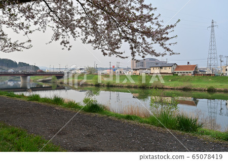 Niida River in the morning 65078419