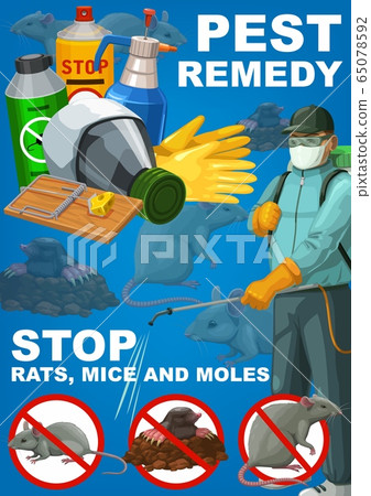 Pest remedy, rodents extermination, deratization 65078592