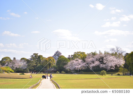 櫻花和城堡 65080180