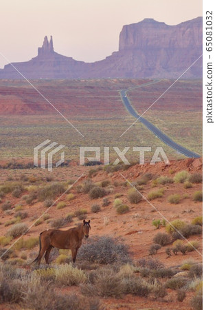 Wild Horse and Monument Valley, Utah, USA 65081032