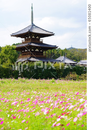 函喜寺和宇宙場-1 65081400