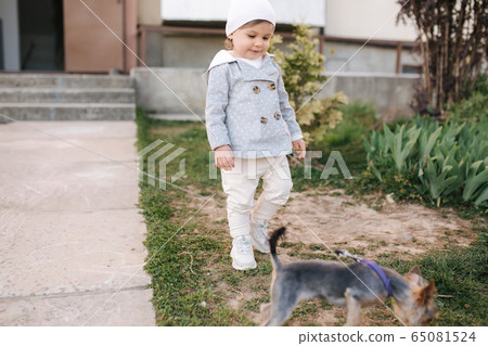 Cute little gilr in grey coat play with little dor outside. Yorkshire terrer play and jump. Adorable gilr have fun with pet 65081524