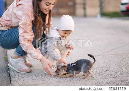 Cute little gilr with her mom play with little dor outside. Yorkshire terrer play and jump. Adorable gilr have fun with pet Cute little gilr with her mom play with little dor outside. Yorkshire terrer play and jump. Adorable gilr have fun with pet 65081559
