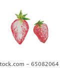 Watercolor strawberry illustration 65082064