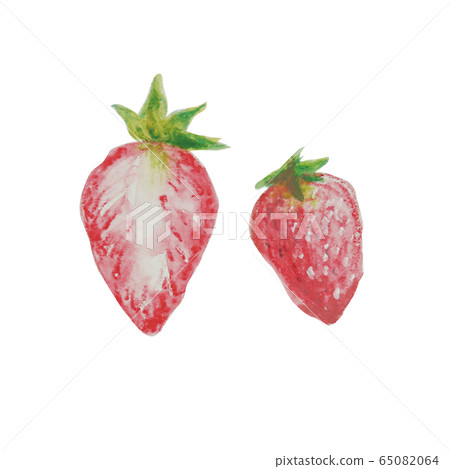Watercolor strawberry illustration Watercolor strawberry illustration 65082064