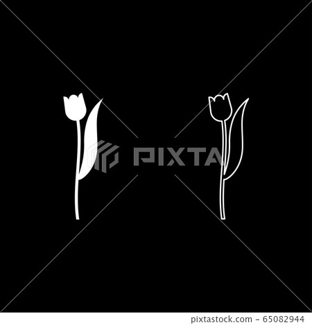Flower tulip plant silhouette icon outline set Flower tulip plant silhouette icon outline set 65082944