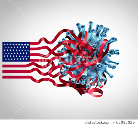 US Coronavirus Challenges 65083029