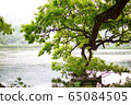 半圓池塘湖水庫樹木水 65084505