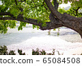 半圓池塘湖水庫樹木水 65084508