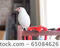 White Stone Bird 65084626
