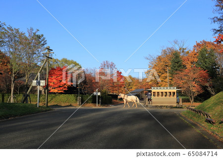 Hokkaido, Sapporo, Hokkaido's pioneering village in autumn 65084714