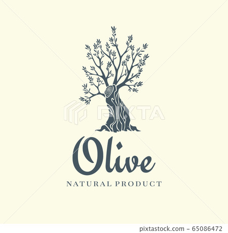 Elegant olive tree isolated icon. Vector tree logo design concept. Olive tree silhouette illustration. Natural olive oil tree plant emblem 65086472
