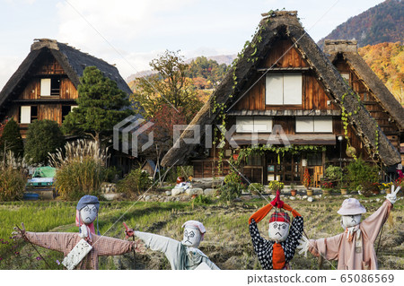 Shirakawago在秋天 65086569