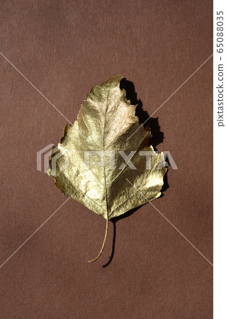Golden leaf 65088035