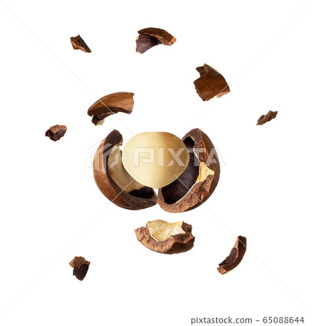 crushed macadamia nut crushed macadamia nut 65088644