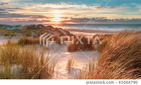 View from dune top over North Sea View from dune top over North Sea 65088790