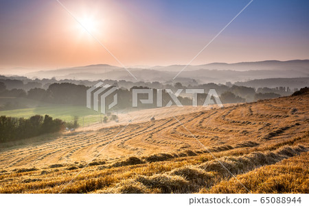 Tuscan Countryside at Dawn 65088944