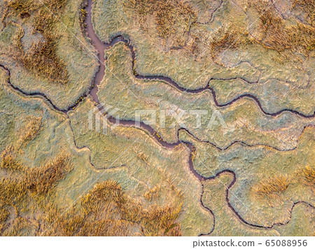 Aerial view of tidal marshland 65088956