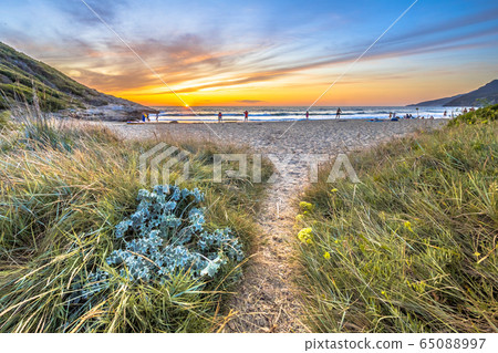 Coastal vegetation Cap Corse 65088997