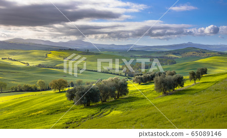Tranquil landscape Tuscany Tranquil landscape Tuscany 65089146