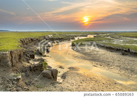 Tidal channel marshland Ameland 65089163