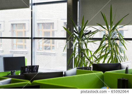 Green office with green decorative plants on windowsill 65092064