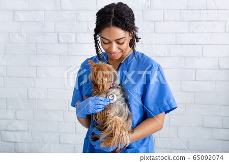 African American vet practitioner holding lovely doggy and listening to its heartbeat at clinic 65092074