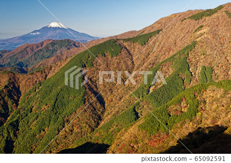 Mt. Fuji and Oguraone seen from the Tanzawa Outer Rim 65092591