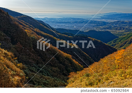 從丹澤前山脊看的秋葉和小田原/多田野市的山脈 65092984