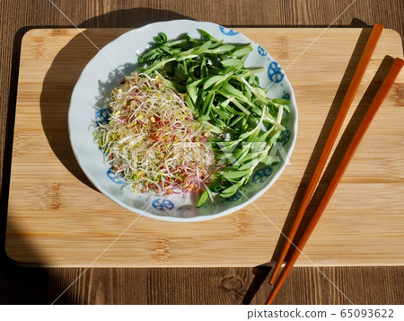Fresh Sedum Sprout Salad Fresh Sedum Sprout Salad 65093622