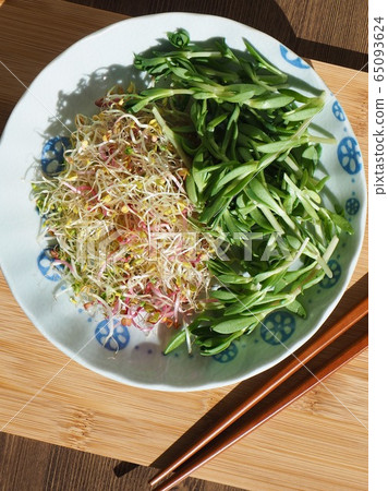 Fresh Sedum Sprout Salad Fresh Sedum Sprout Salad 65093624