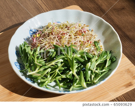 Fresh Sedum Sprout Salad Fresh Sedum Sprout Salad 65093629
