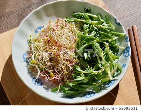 Fresh Sedum Sprout Salad Fresh Sedum Sprout Salad 65093631