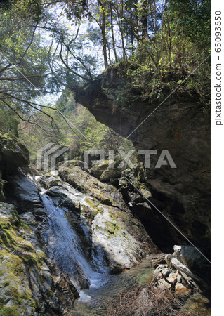 The headwaters of the Kokuryo River, further upstream of the Besshi Line, the clear stream "Nishisuzuya River" 65093850