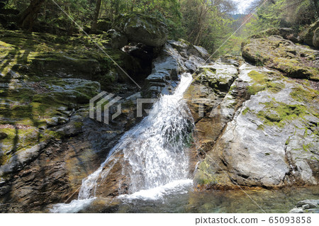 The headwaters of the Kokuryo River, further upstream of the Besshi Line, the clear stream "Nishisuzuya River" 65093858