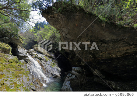 The headwaters of the Kokuryo River, further upstream of the Besshi Line, the clear stream "Nishisuzuya River" 65093866