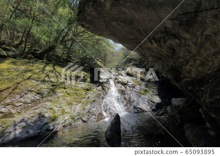 The headwaters of the Kokuryo River, further upstream of the Besshi Line, the clear stream "Nishisuzuya River" 65093895