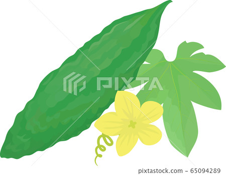 Bitter gourd flower leaf white background 65094289