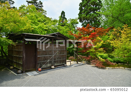 Japanese garden Shia Japanese garden Shia 65095012