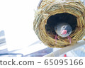 Bunri nest 65095166