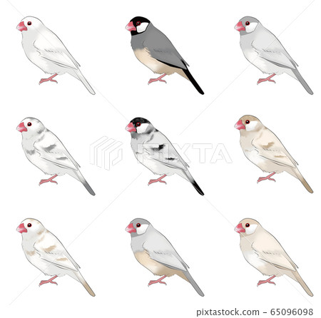 Sentencebird Sentencebird 65096098