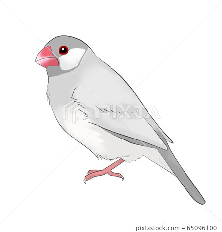 Sentencebird Sentencebird 65096100