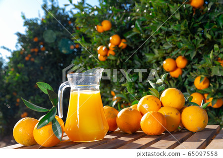 Glass jug and glasses with fresh orange juice on wooden table with oranges in an outdoor setting during summer Glass jug and glasses with fresh orange juice on wooden table with oranges in an outdoor setting during summer 65097558