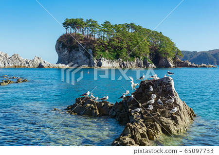 [Jodogahama, Miyako City, Iwate Prefecture] Jodogahama is a scenic spot worth a detour recommended by the Michelin Green Guide 65097733