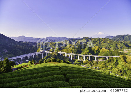 Shizuoka Prefecture) Over the tea plantation,... - Stock Photo