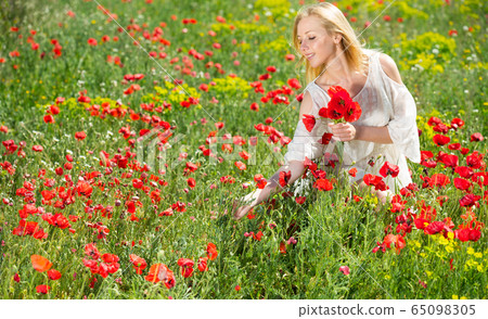 Young girl in white dress picking poppies plants outdoor in fields Young girl in white dress picking poppies plants outdoor in fields 65098305