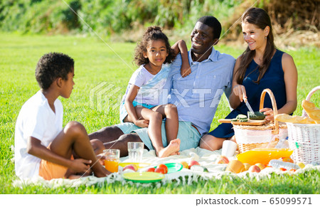 Family enjoying picnic Family enjoying picnic 65099571