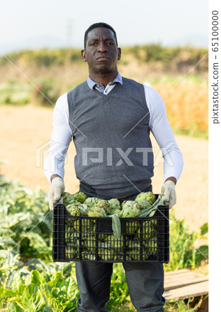 Man with box of artichokes Man with box of artichokes 65100000