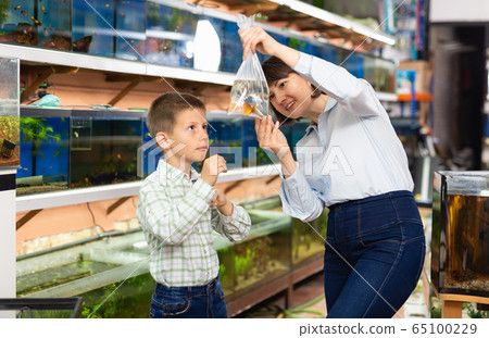 Family buying goldfish 65100229